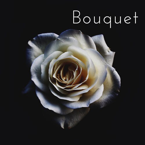 Bouquet album cover