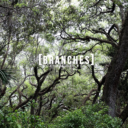 Branches album cover