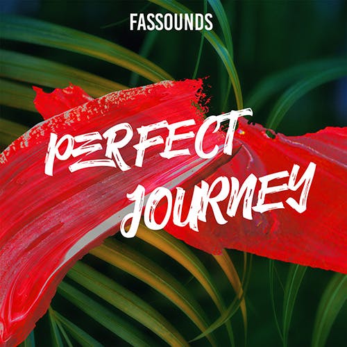 Perfect Journey album cover