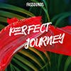 Perfect Journey album cover