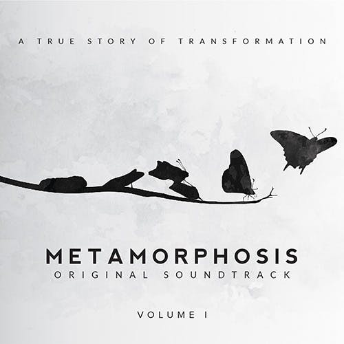 Metamorphosis Vol. 1 album cover