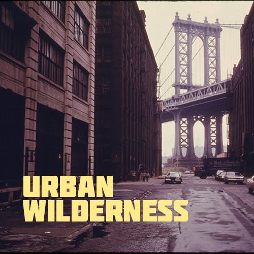 Urban Wilderness  album cover