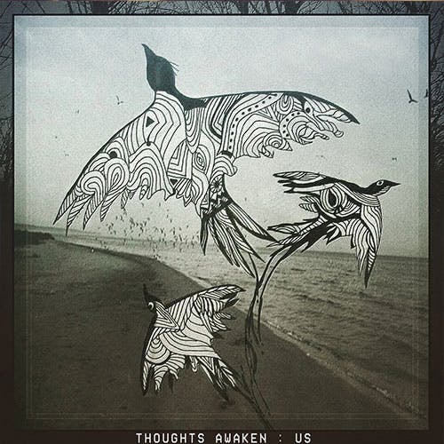 Thoughts Awaken Us album cover