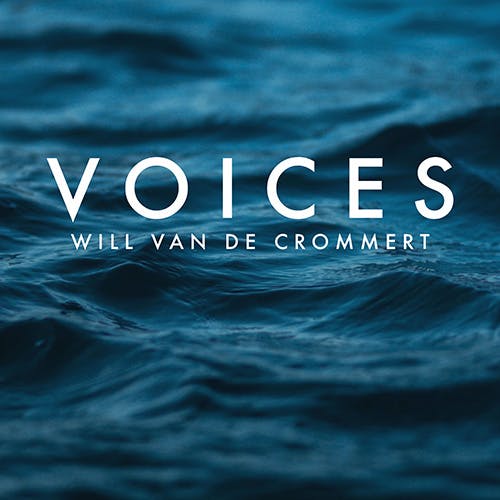 Voices album cover