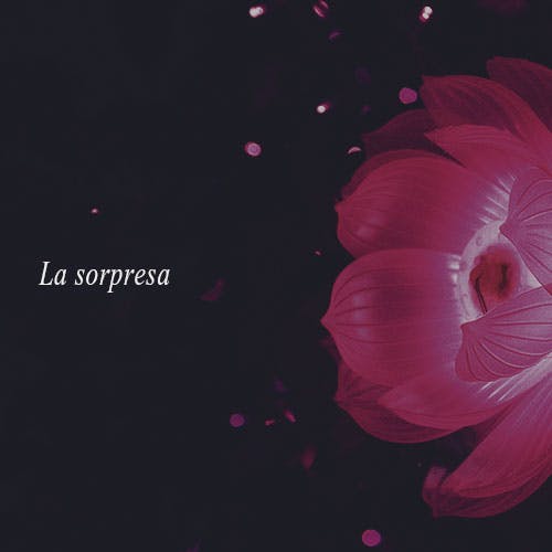 La Sorpresa album cover