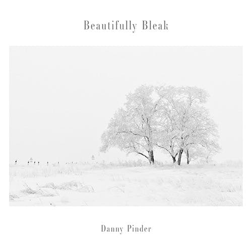 Beautifully Bleak album cover