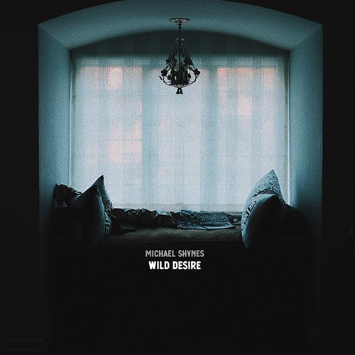 Wild Desire album cover