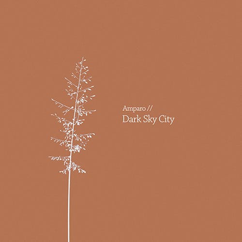 Dark Sky City album cover