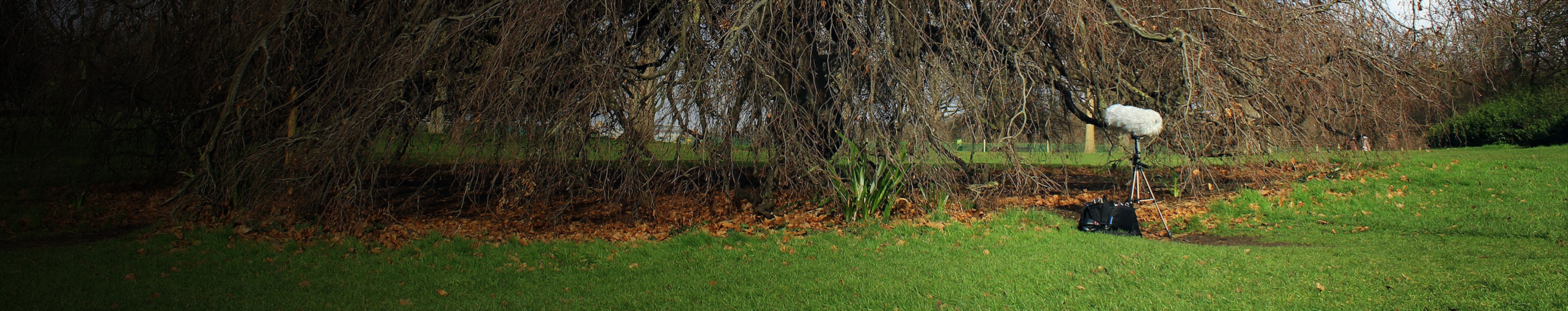 Tourist crowd, small group of tourists talk calmly in Spanish outside Buddhist temple by Gain Walkers