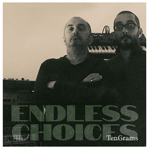 Endless Choices album cover