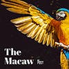 The Macaw album cover