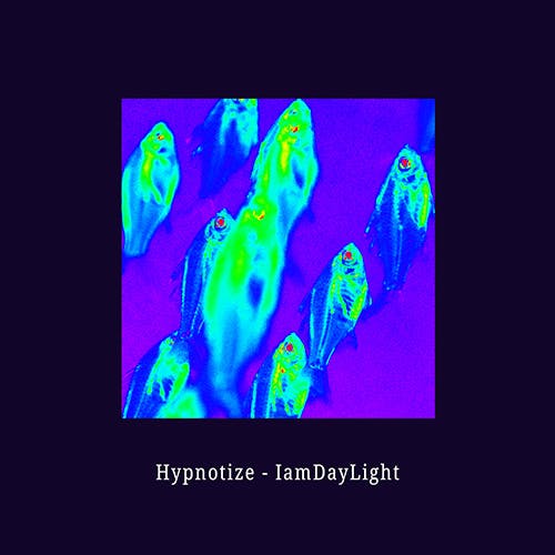 Hypnotize album cover
