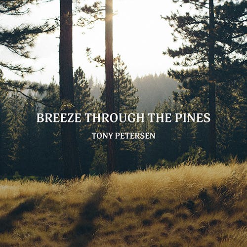 Breeze Through the Pines