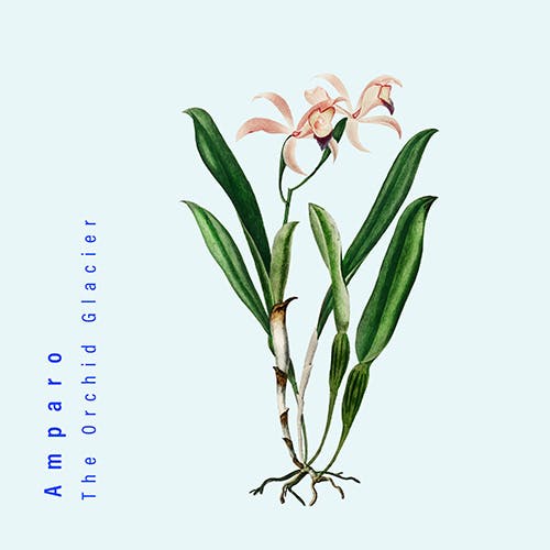 The Orchid Glacier album cover