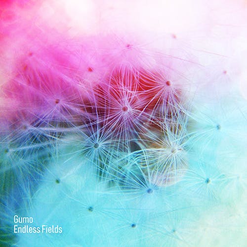Endless Fields album cover