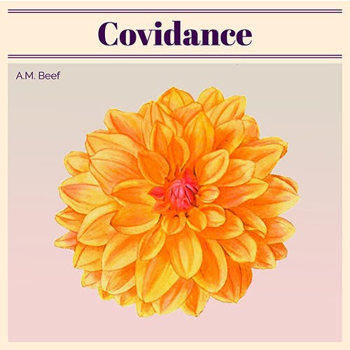 Covidance album cover