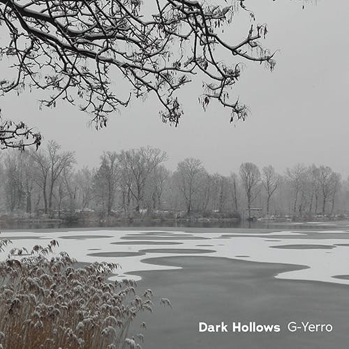 Dark Hollows album cover