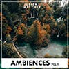 Ambiences Vol 1  album cover