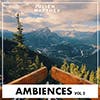 Ambiences Vol 2 album cover