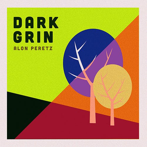 Dark Grin album cover