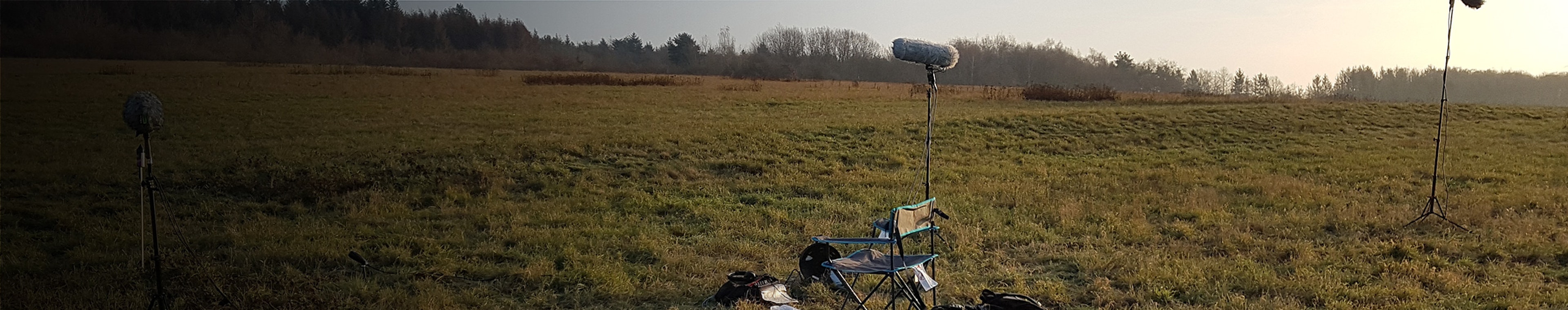 Electromagnetic Fields - Short Impulse, Twangy Thud by Systematic Sound