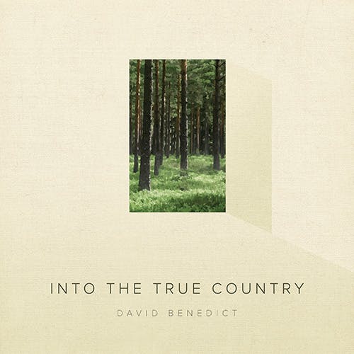 Into the True Country album cover