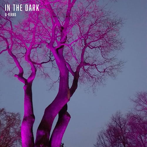 In the Dark album cover
