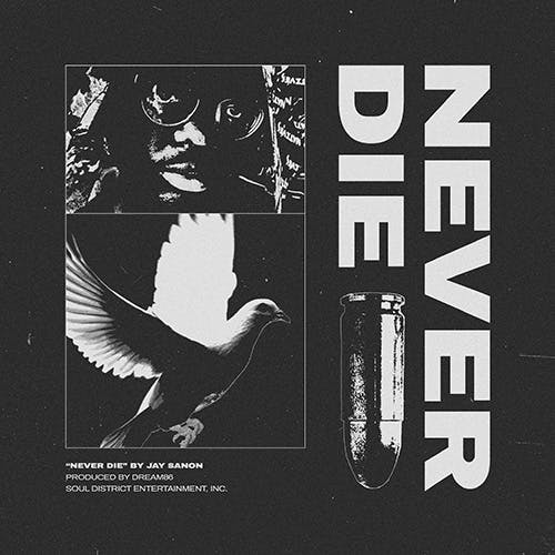 Never Die album cover