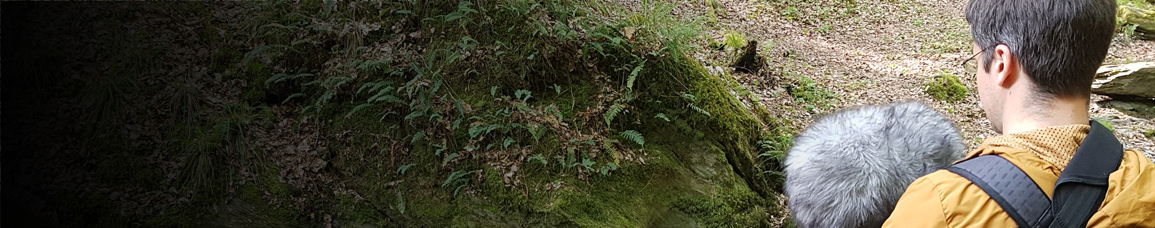 Suburban Street, Thunderstorm, Pouring Rain, Passing Car by Systematic Sound
