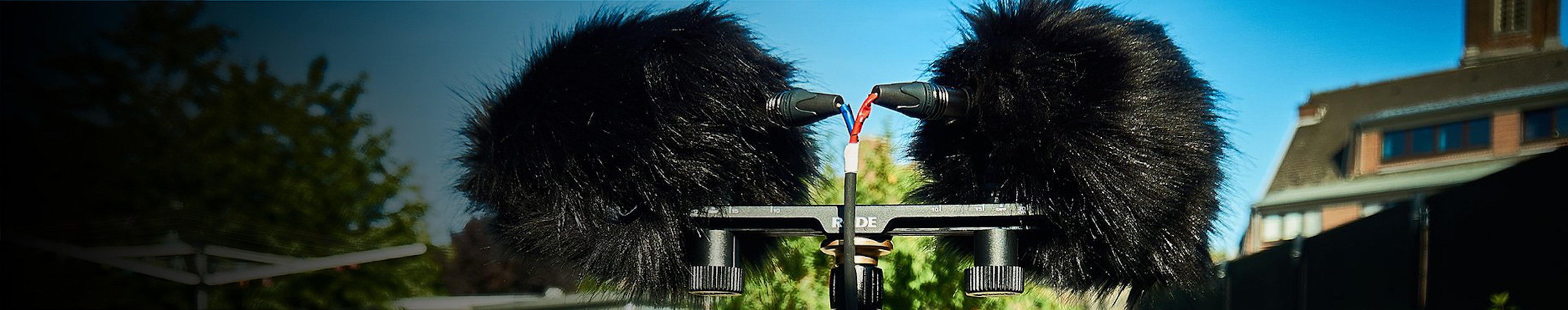 MechAnimal - Sci fi Bird, Screaming by Fox Audio