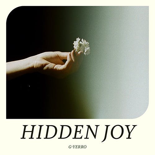 Hidden Joy album cover