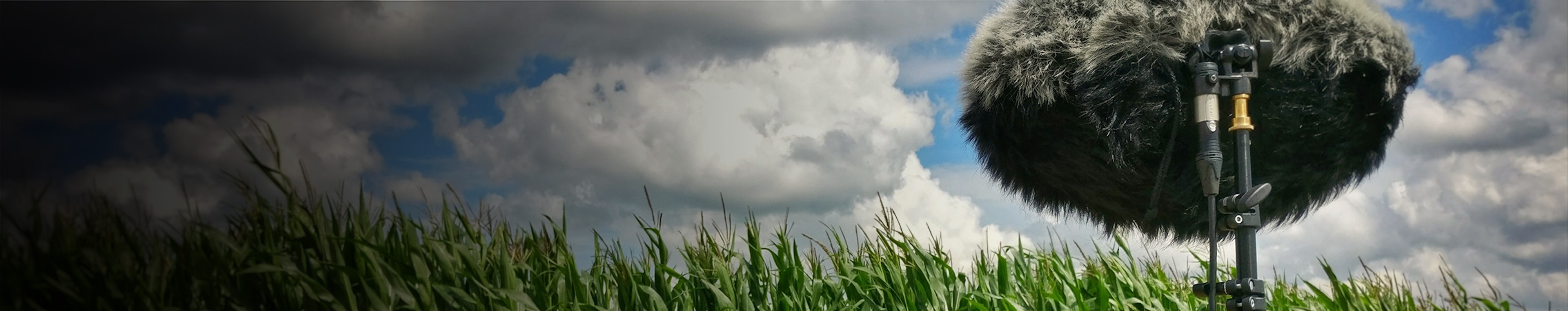 Gun Silencer - Assault Rifle, Shooting, Sharp by aXLsound