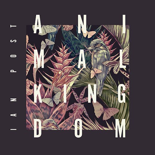 Animal Kingdom album cover
