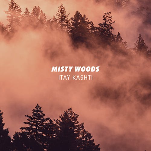Misty Woods album cover