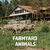 Farmyard Animals album cover