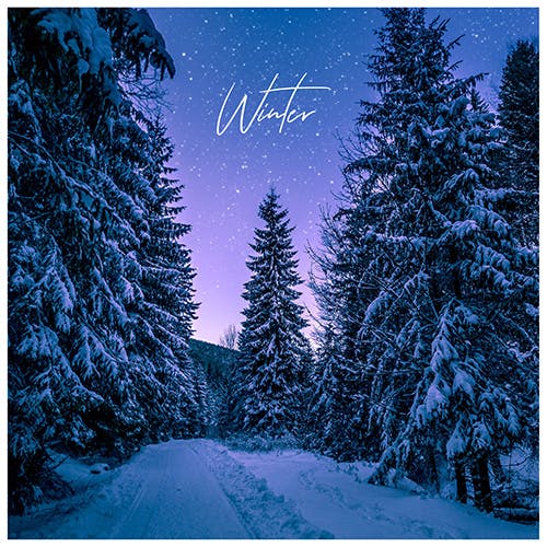 Winter album cover