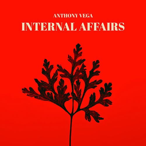 Internal Affairs album cover