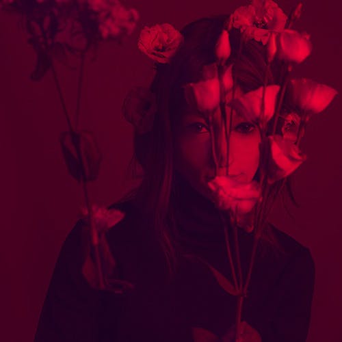 Why Do Flowers Mean Love? album cover