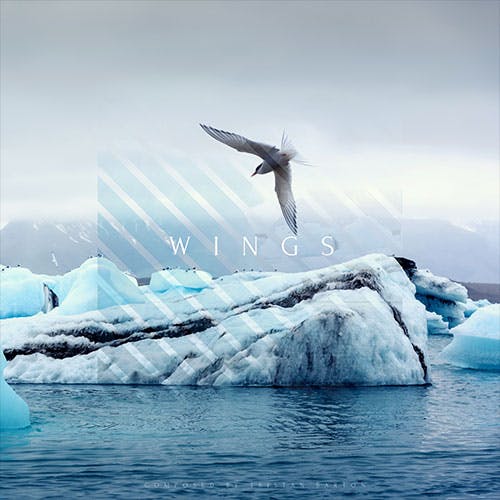 Wings album cover