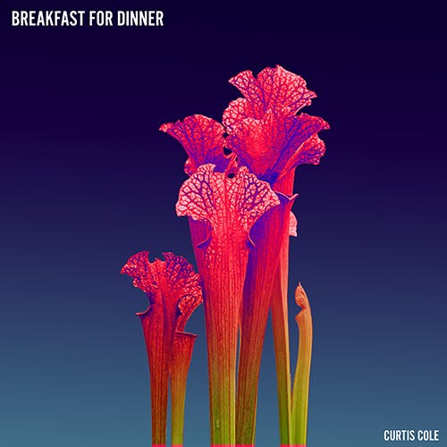 Breakfast for Dinner album cover