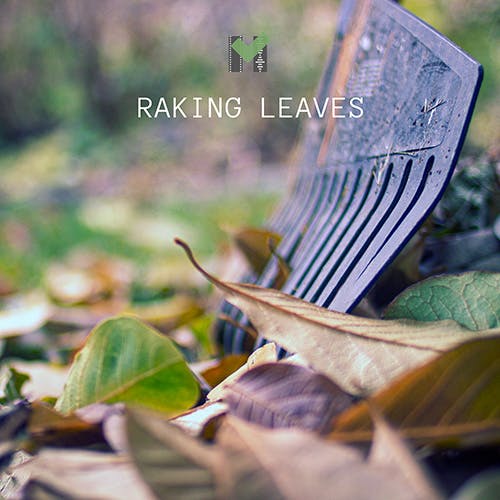 Raking Leaves album cover