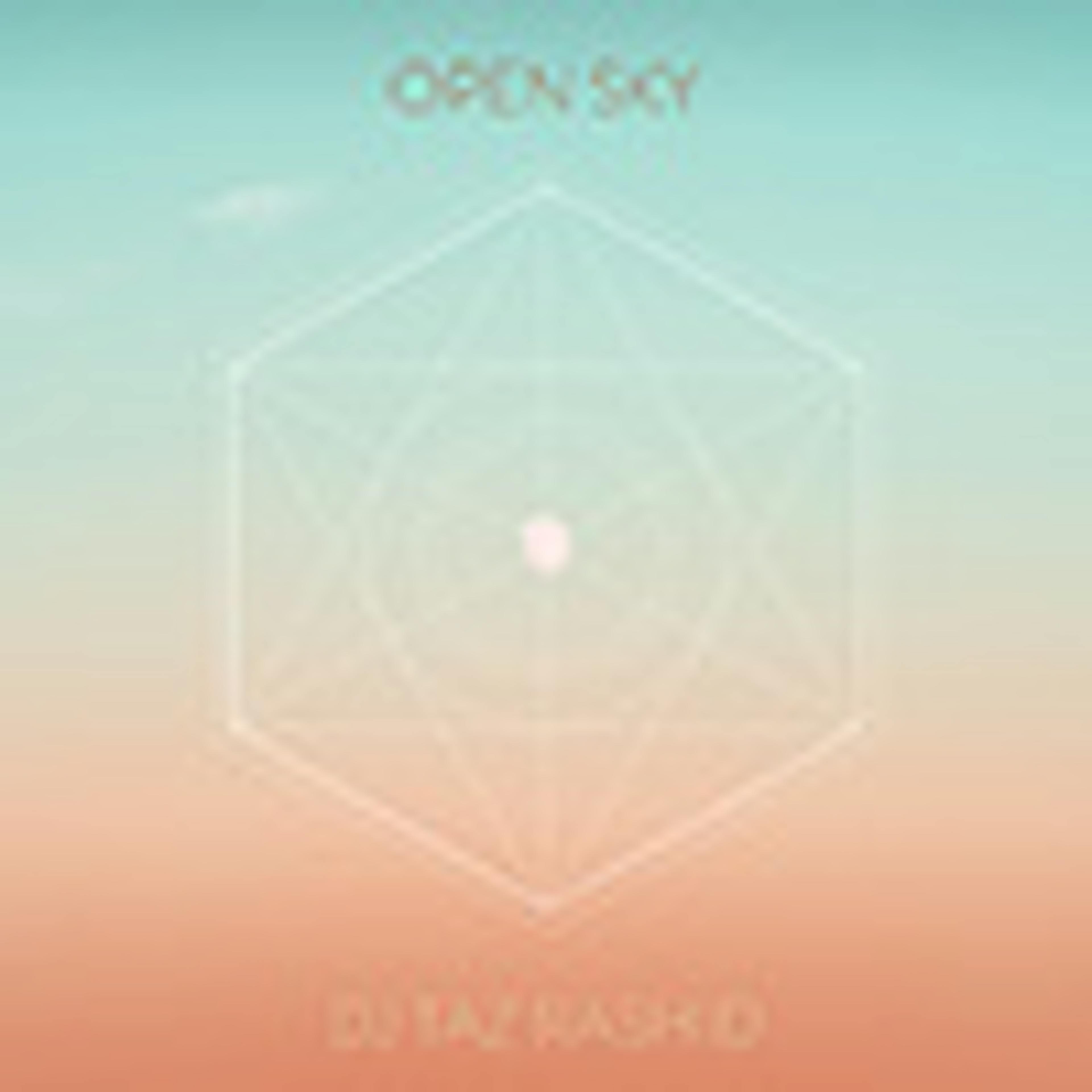 Open Sky album cover