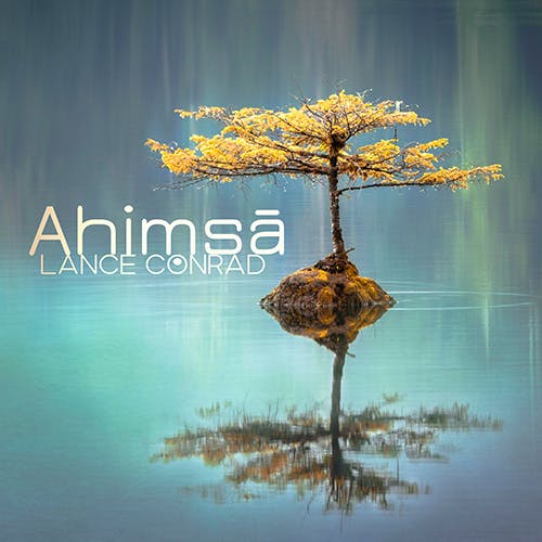 Ahimsa album cover