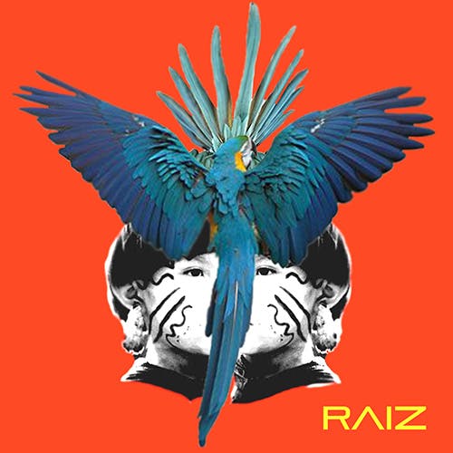 RAIZ album cover
