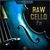 Raw Cello FX album cover