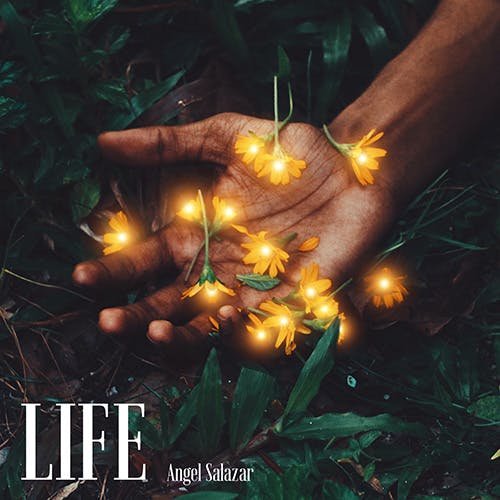 Life album cover