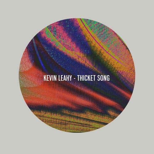 Thicket Song album cover