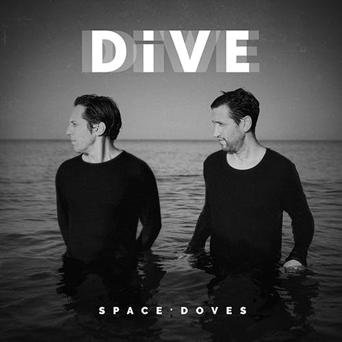 Dive album cover