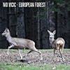 European Forest  album cover