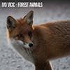 Forest Animals album cover
